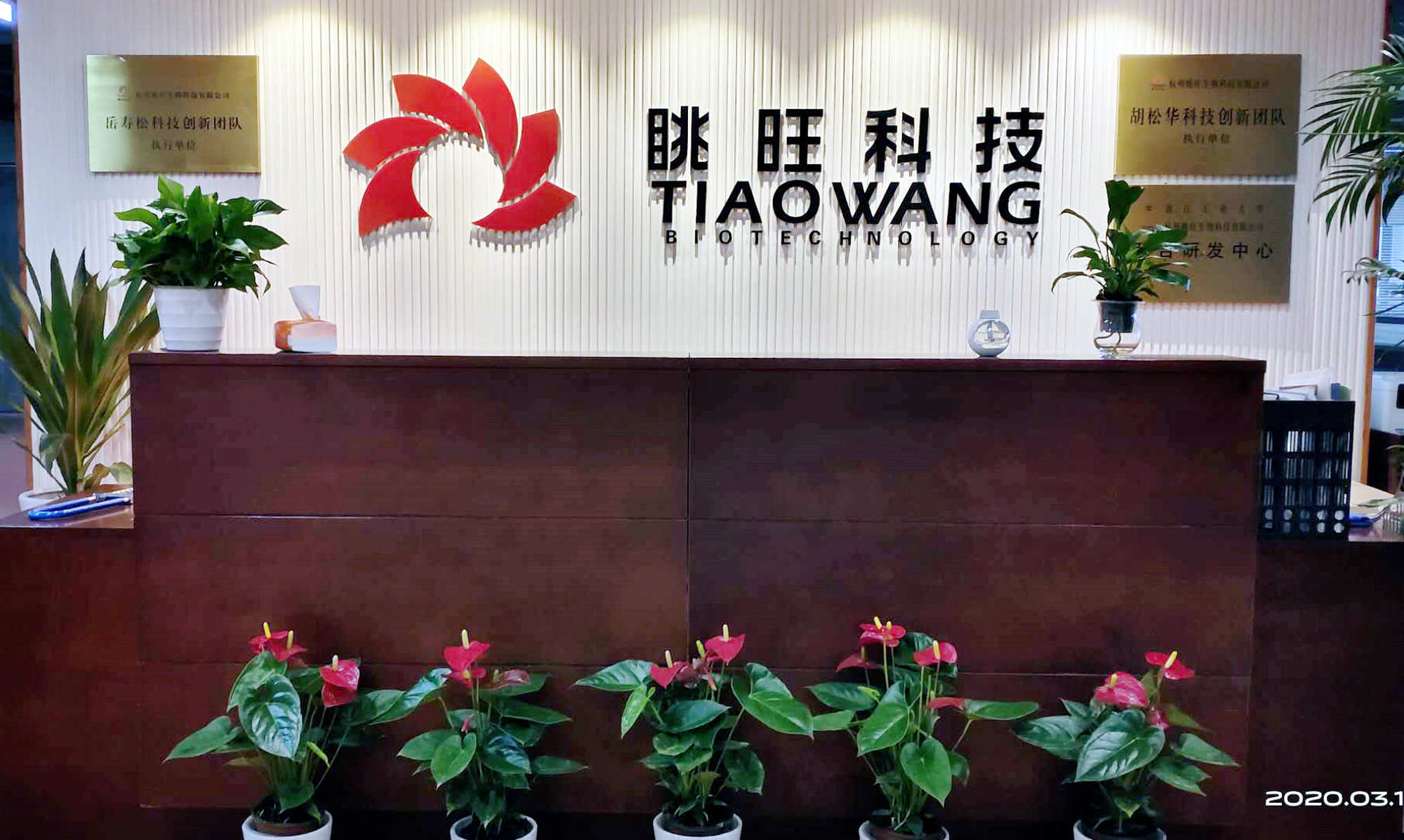 磨剑七年 扬帆远航