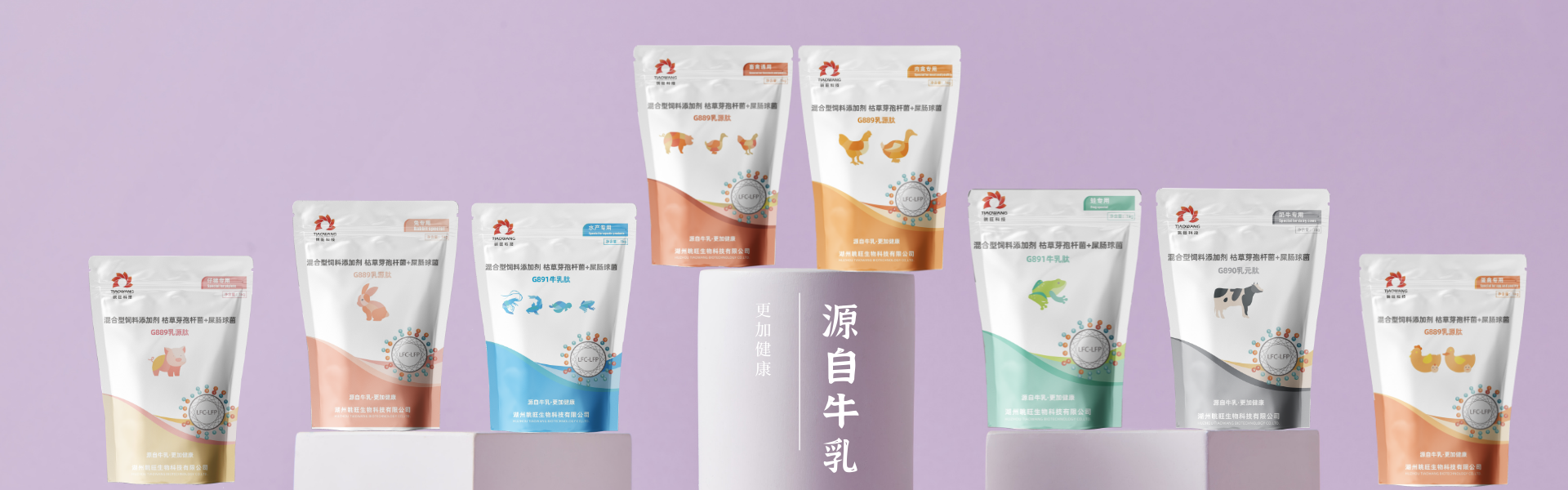 广告标题